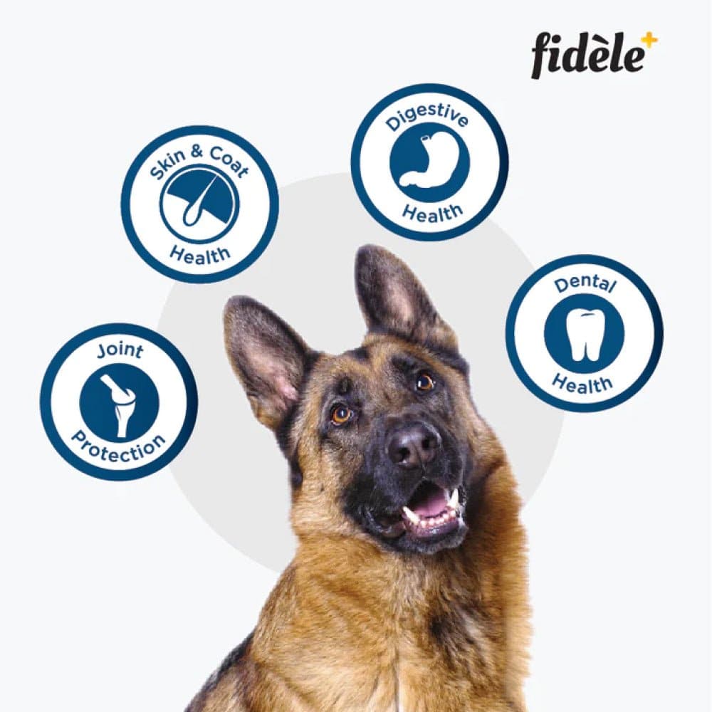 Fidele Plus Adult Large Dog Dry Food image 4