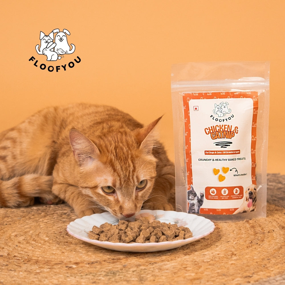 Floofyou Chicken Catnip Oven Baked Cookie Dog Treats image 5