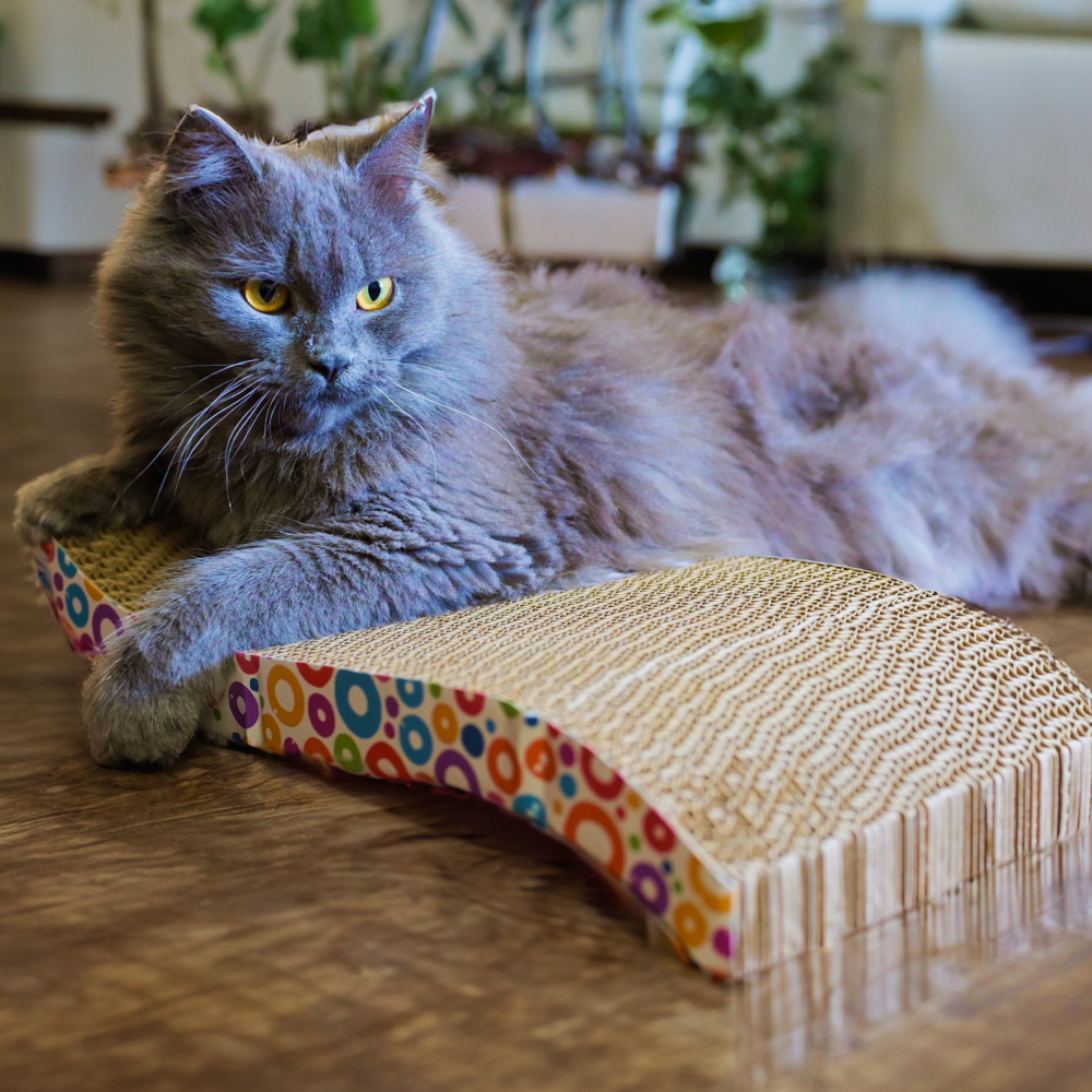 Skatrs The Satisfying Wave Cat Scratcher with 2g Premium Catnip Free (15x7.5x2.8in) image 2
