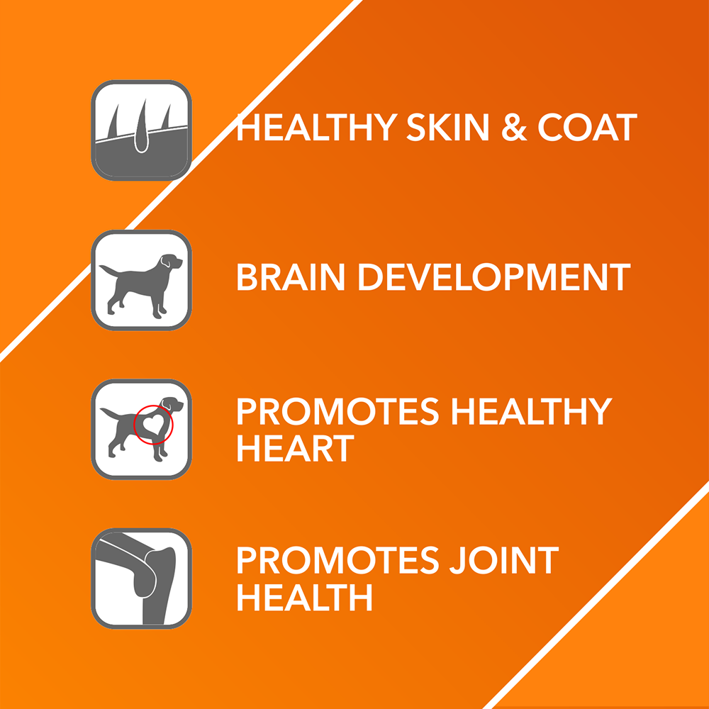 Drools Absolute Salmon Oil Syrup Supplement for Dogs image 2