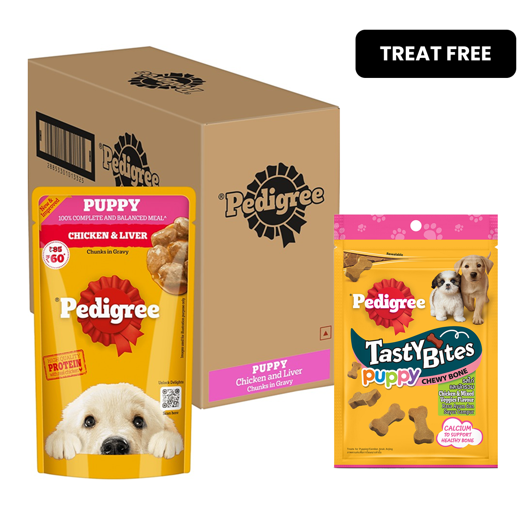 Pedigree Chicken and Liver Chunks in Gravy Pouch Puppy Dog Wet Food (130g) image 2