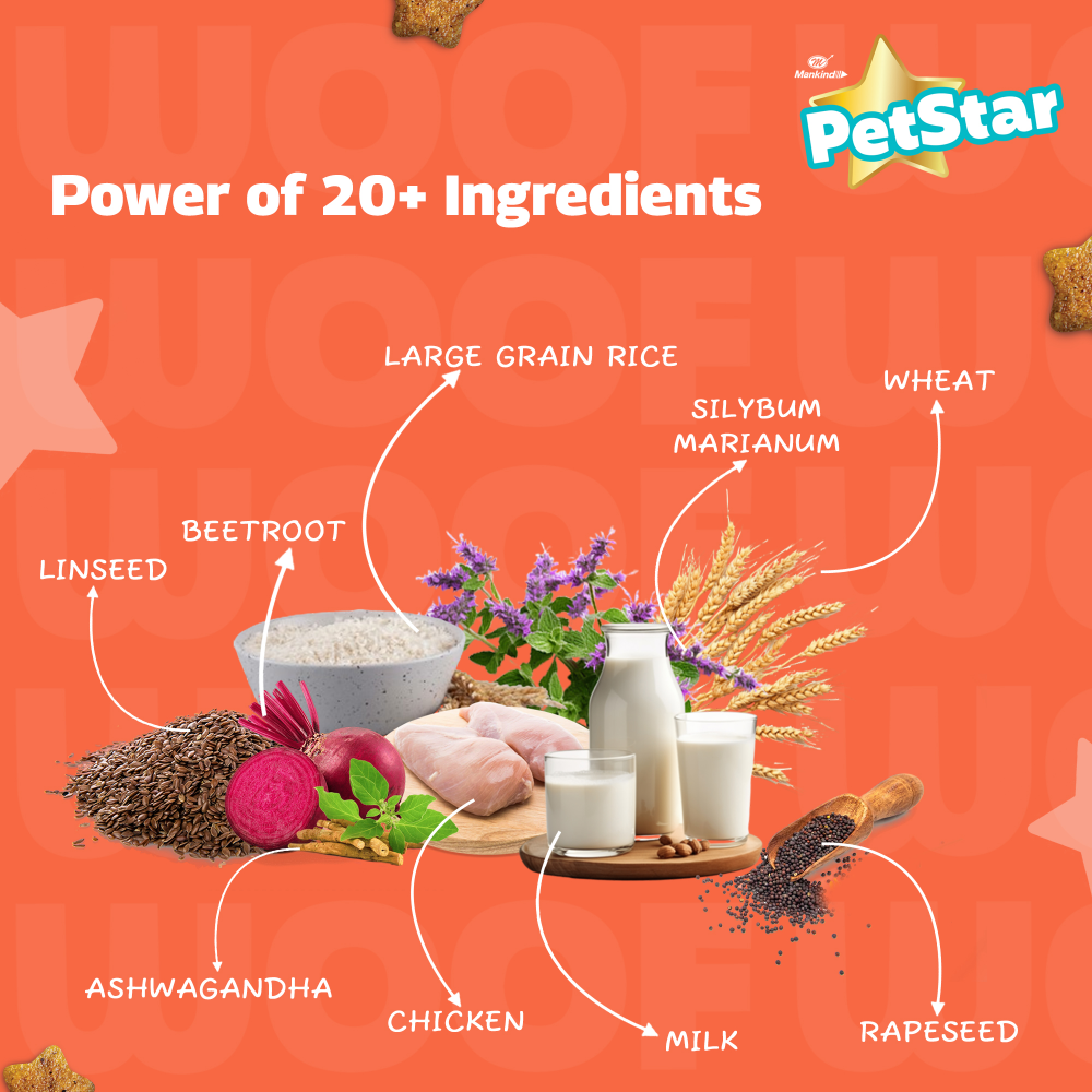 Mankind Petstar Milk and Wheat Puppy Dog Dry Food image 4