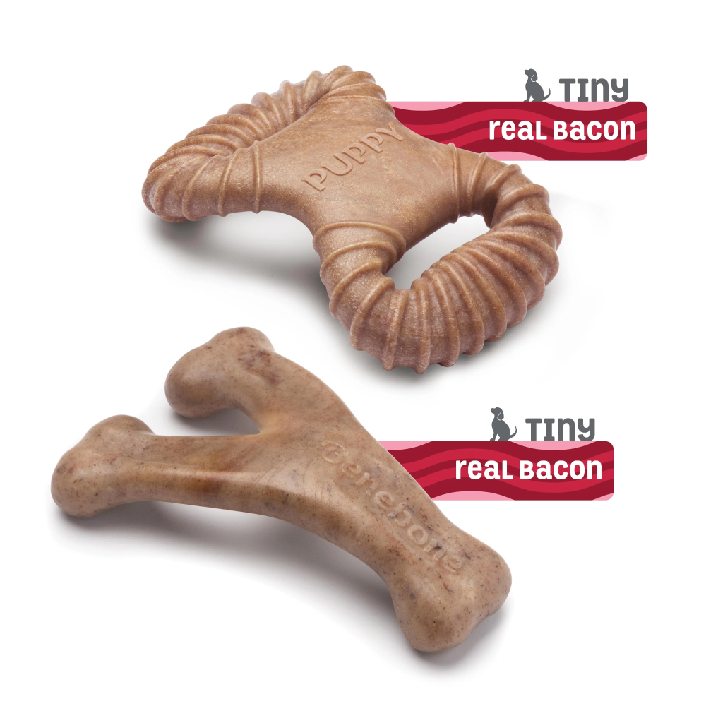 Benebone Bacon Flavored Dental and Wishbone Chew Toys for Puppy image 3