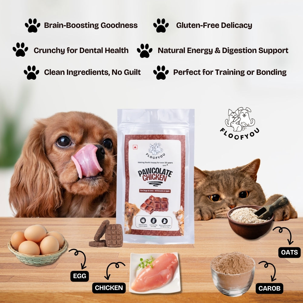 Floofyou Pawcolate Chicken Chocolate Safe Oven Baked Cookie Dog and Cat Treats image 5
