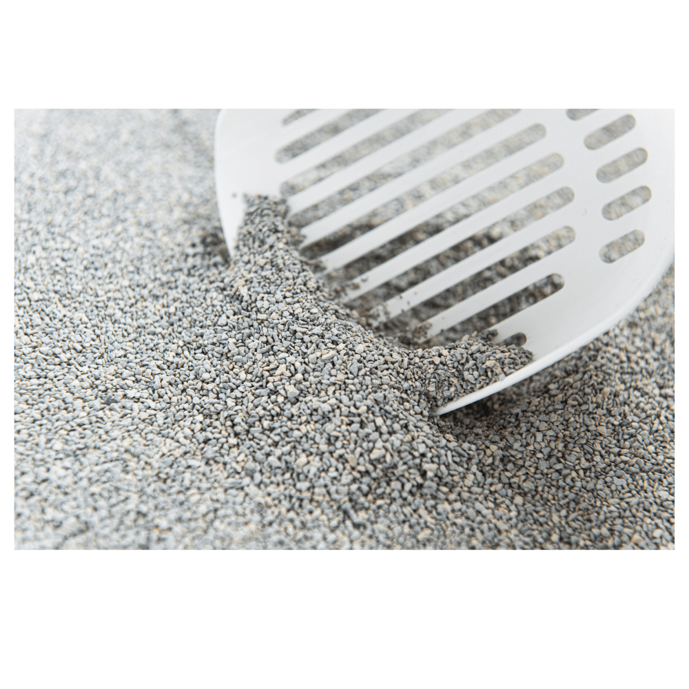 Intersand Scented Odour Lock Calming Baby Powder Cat Litter image 4