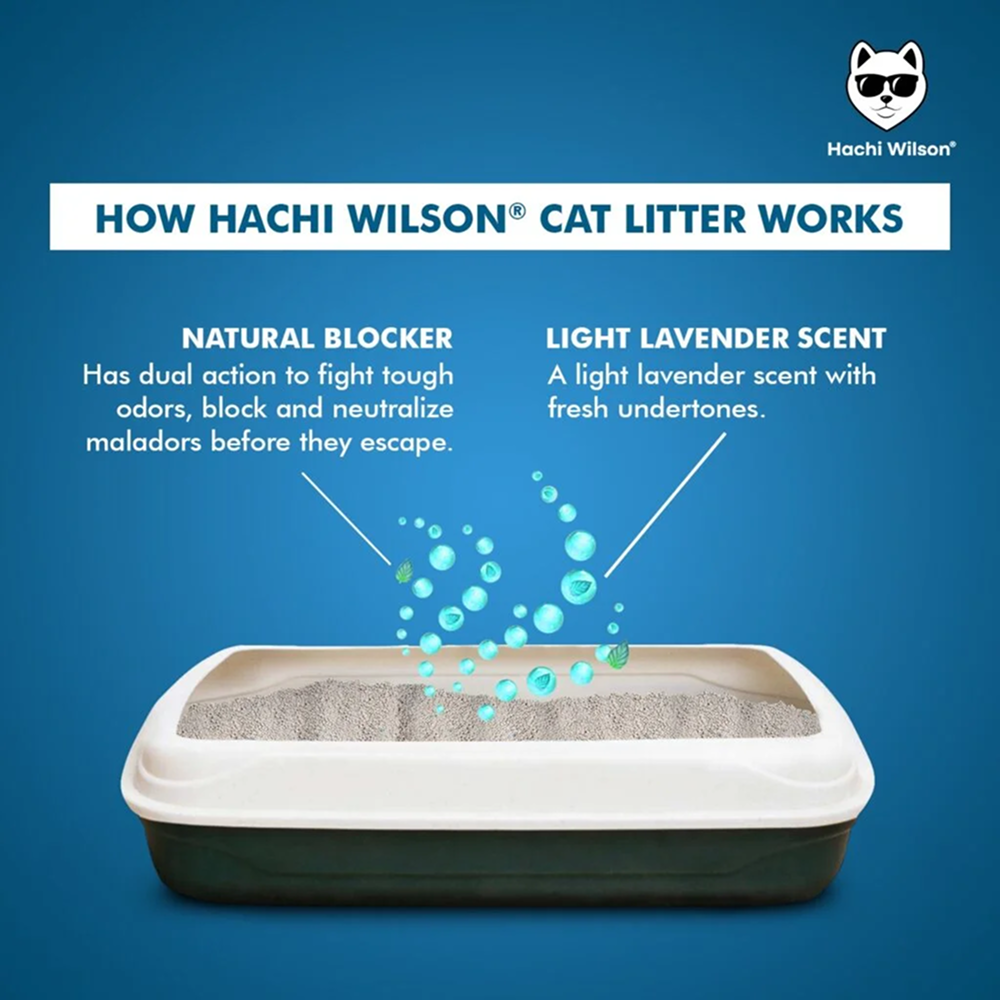 Hachi Wilson Scented Natural Bentonite White Sand Cat Litter image 5
