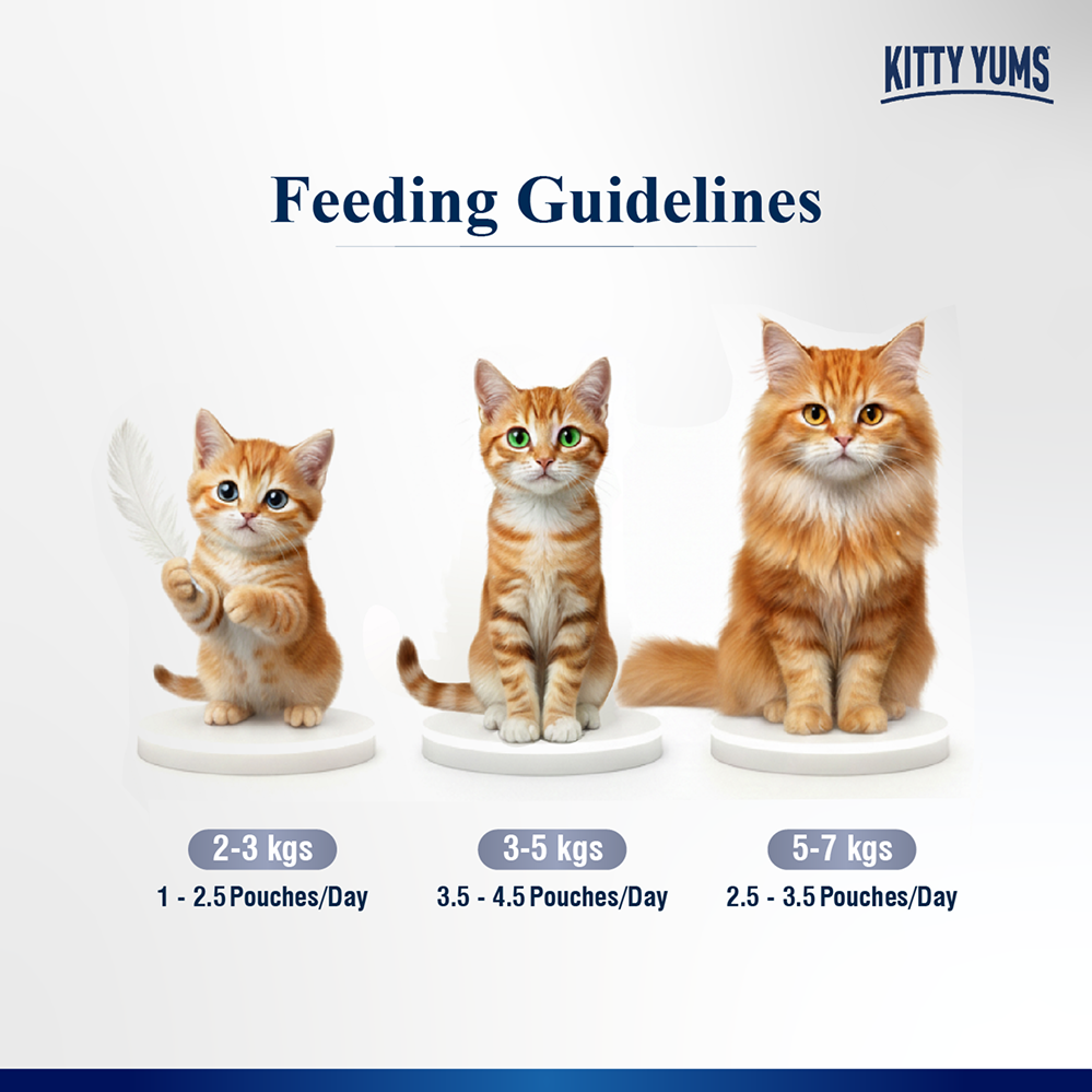 Kitty Yum Chicken Mousse Adult Cat Wet Food image 5