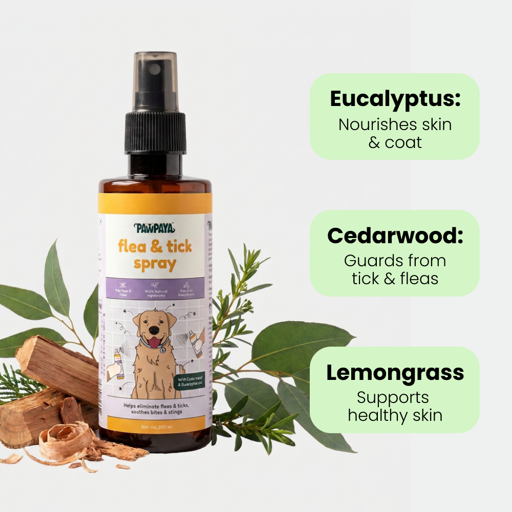 Pawpaya  Flea and Tick Spray for Dogs and Cats image 5