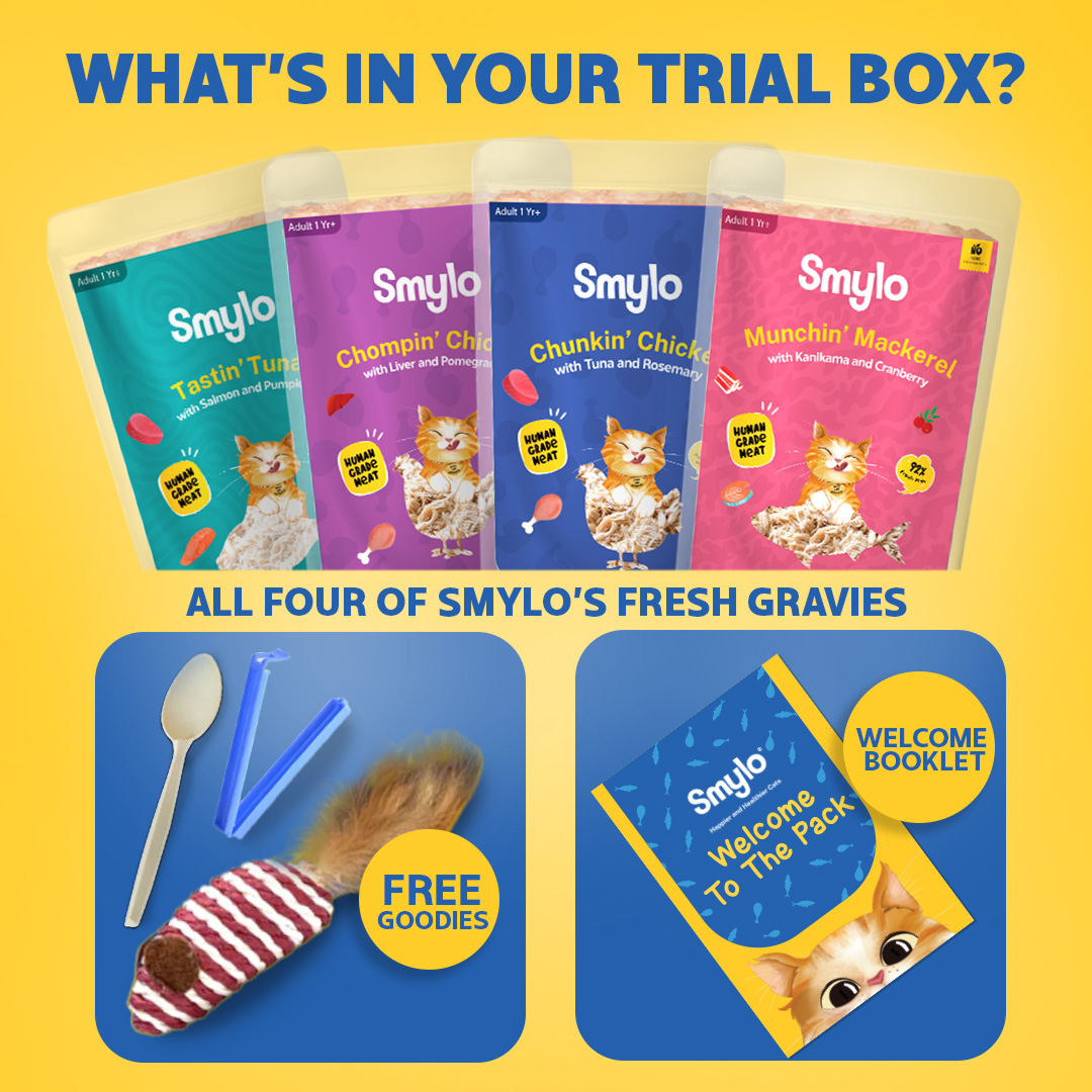 Smylo Adult Trial Box, Tuna, Chicken & Mackerel, Fresh & No-Preservative Wet Cat Food image 8