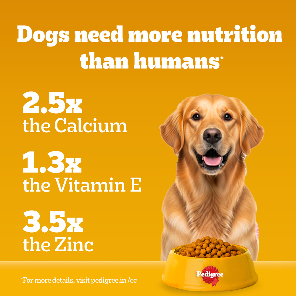 Pedigree Chicken and Vegetables Adult Dog Dry Food image 8