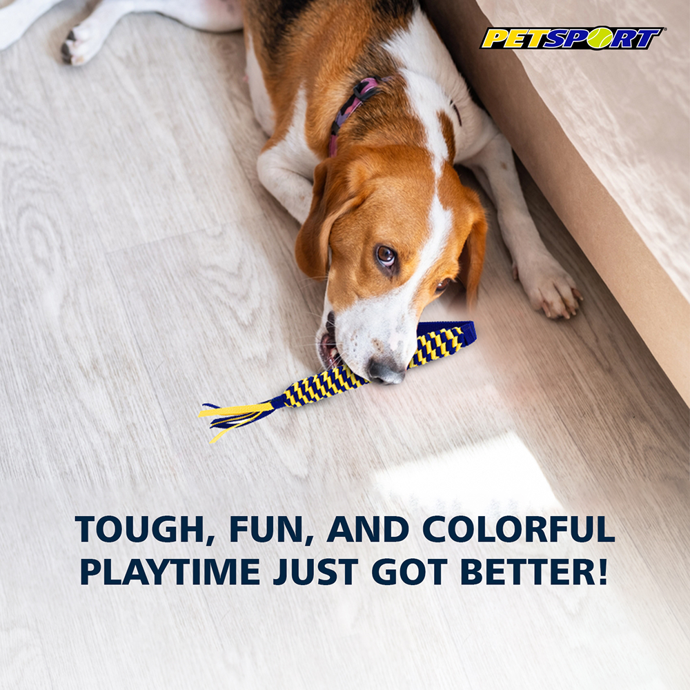 Petsport Twisted Chew Spring Tug Toy for Dogs image 2