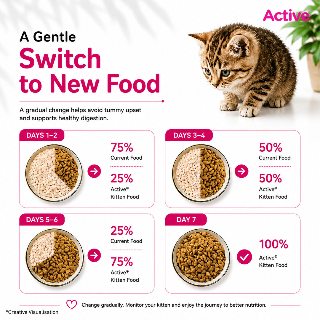 Active Ocean Fish Kitten Cat Dry Food (Buy 1 Get 1) image 9