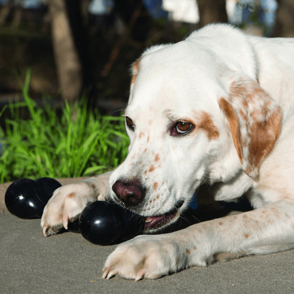 Kong Extreme Goodie Bone Toy for Dogs (Black) | For Aggressive Chewers image 8