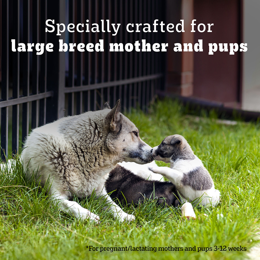 Pedigree PRO Expert Nutrition Lactating/Pregnant Mother & Puppy Starter(3 to 12 Weeks) Large Breed Dog Dry Food (Limited Shelf Life) image 8