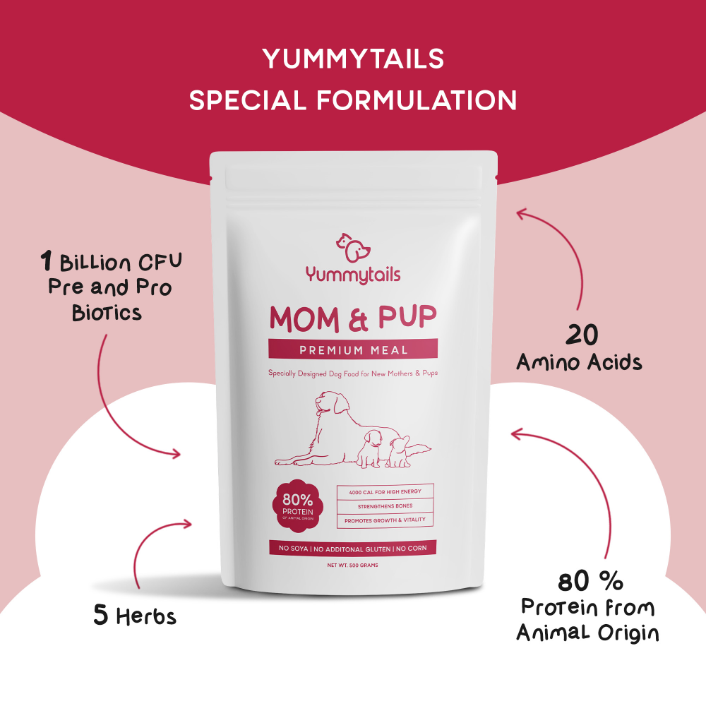 Yummytails Super Premium Mother and Puppy Dry Food | Chicken & Fish Flavor | Corn and Soya Free Formula image 8