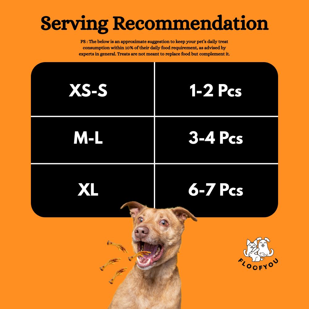 FloofYou Air Dried Chicken Feet Grain Free Chew Dog Treats image 2