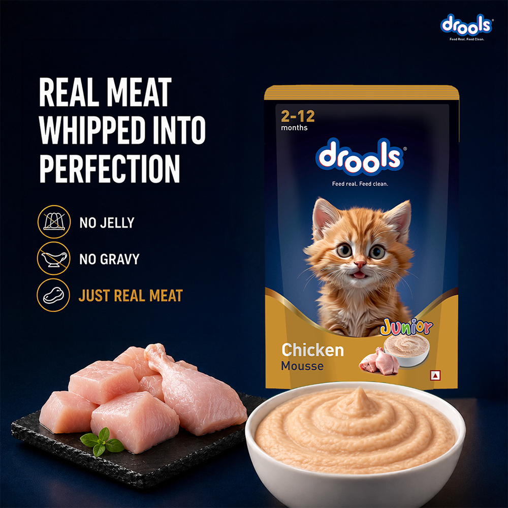 Drools Chicken Mousse Kitten Cat Wet Food image 2