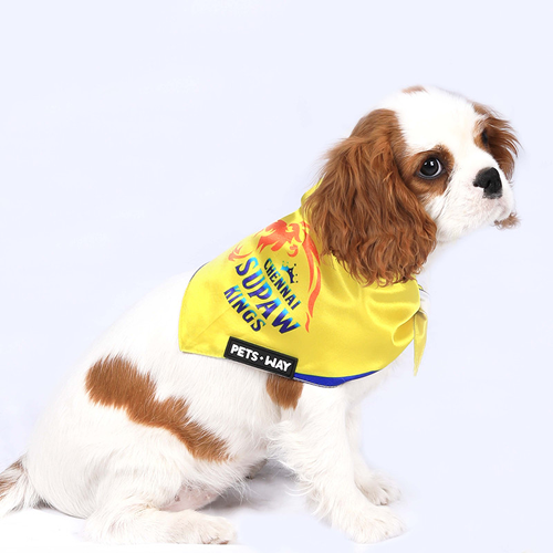 Pets Way Chennai Supaw Kings IPL Bandana for Dogs and Cats (Yellow) | Indian Pet League