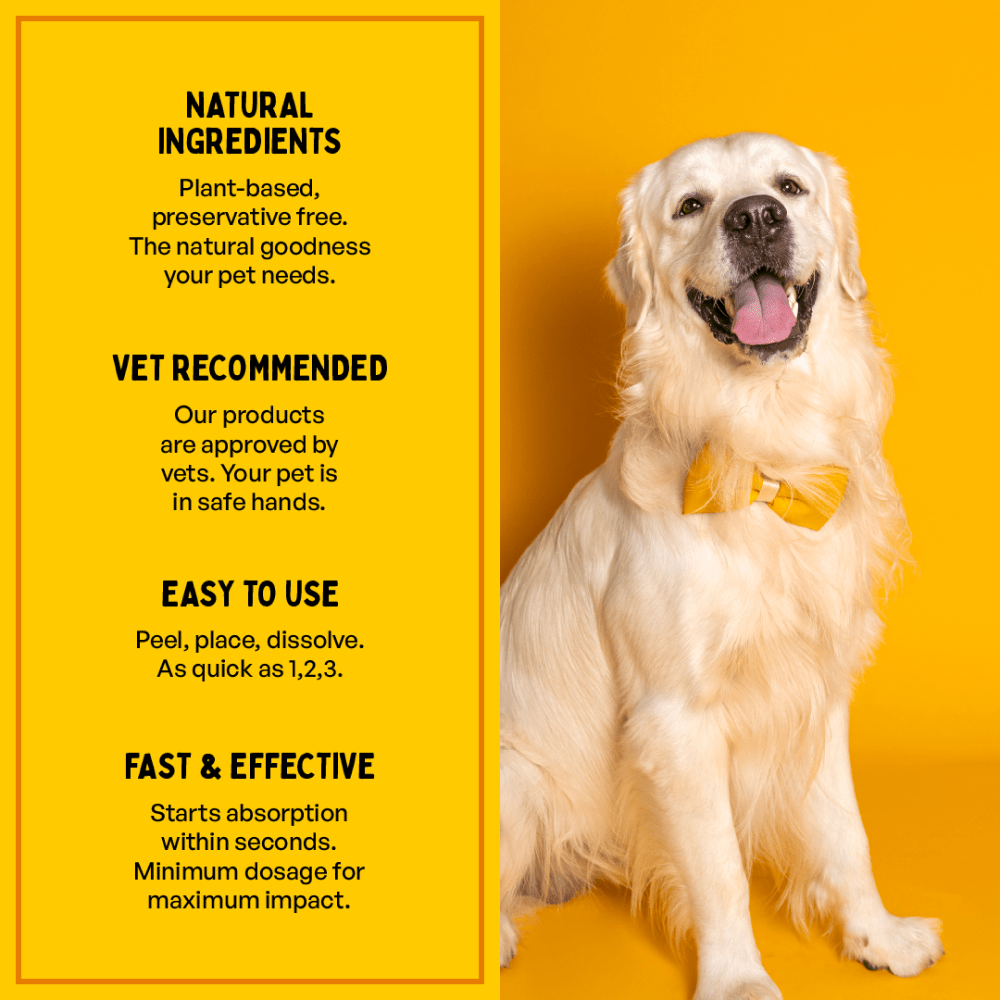 Furlicks Skin Coat & Hip & Joint Supplement Combo for Dogs & Cats image 5