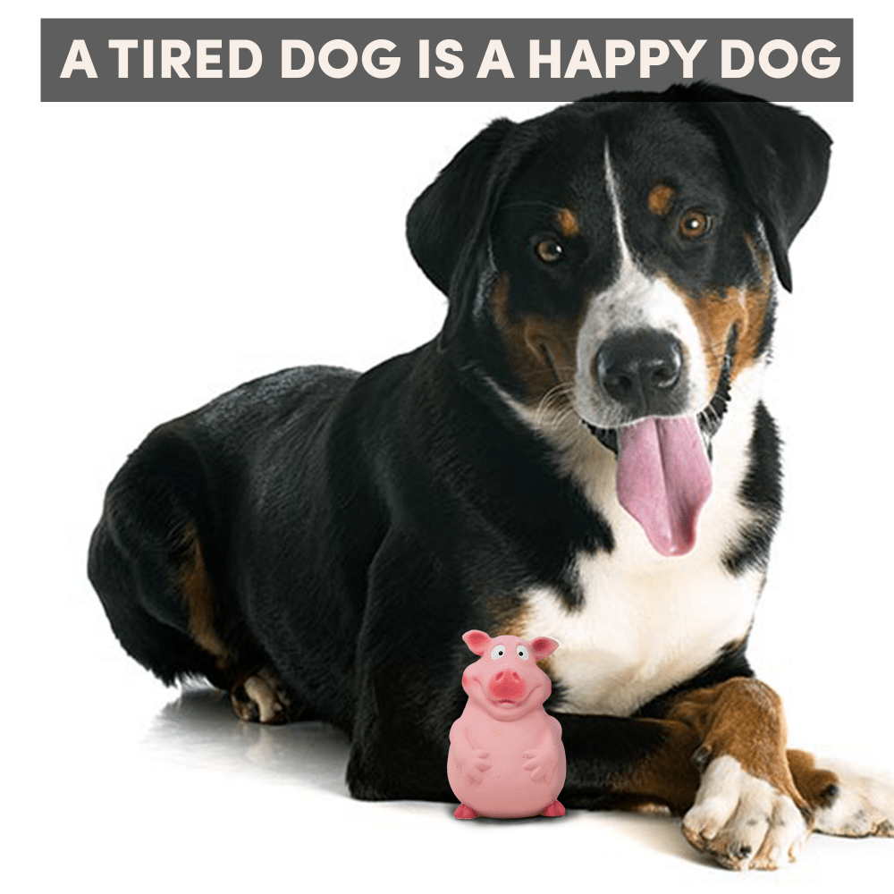 Barkbutler x Fofos Latex Bi Pig Toy for Dogs image 7