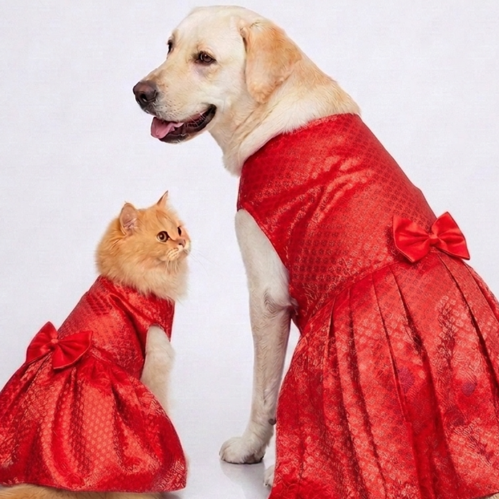 Skatrs Brocade Gold Printed Dress for Dogs and Cats (Red)