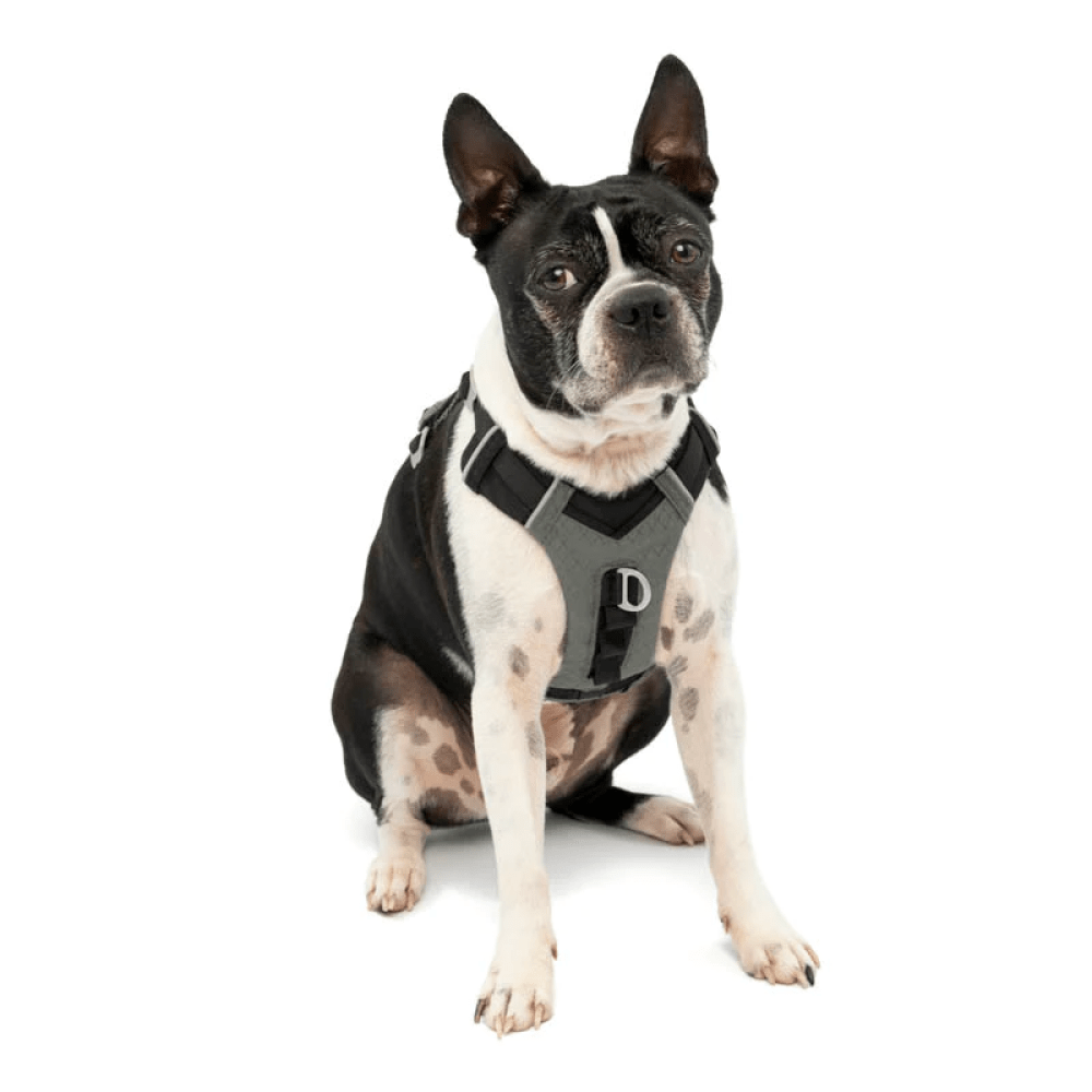 Kurgo Journey Air Harness for Dogs (Black/Gargoyle Grey) image 5