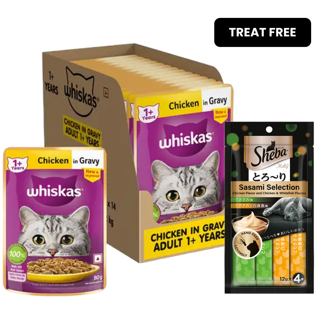 Whiskas Chicken in Gravy Adult Cat Wet Food image 2