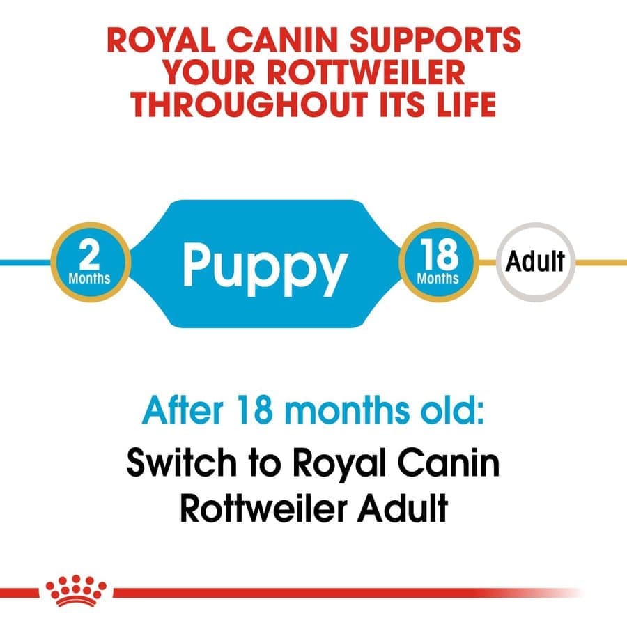 Royal Canin Rottweiler Puppy Dog Dry Food image 3