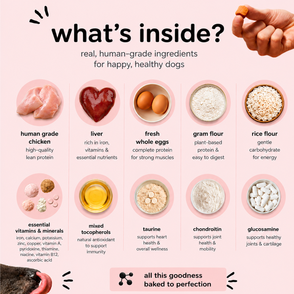 Henlo Baked Chicken & Liver Adult and Puppy Dog Dry Food | 100% human grade ingredients image 3