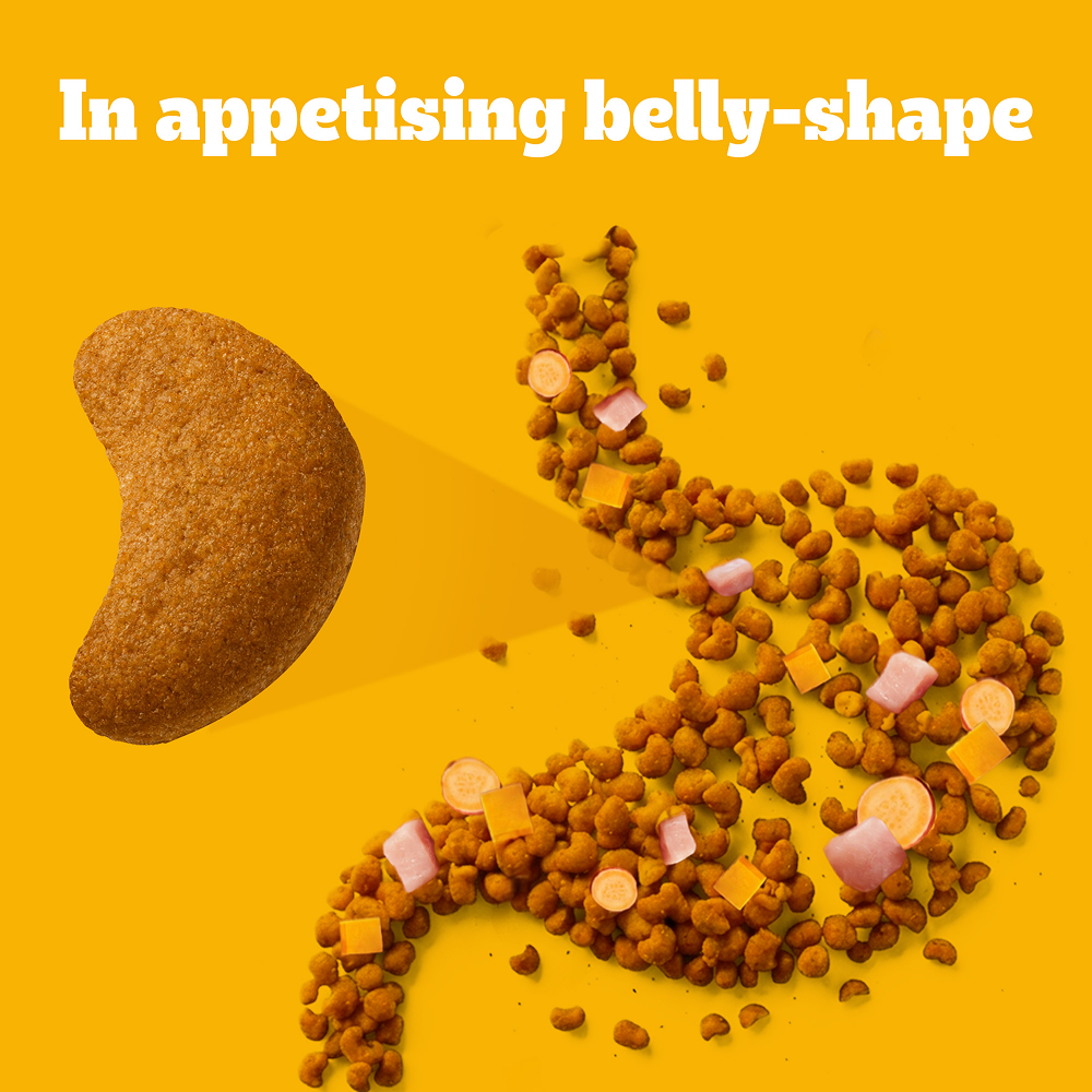Pedigree New Healthy Belly Adult Dog Dry Food image 8