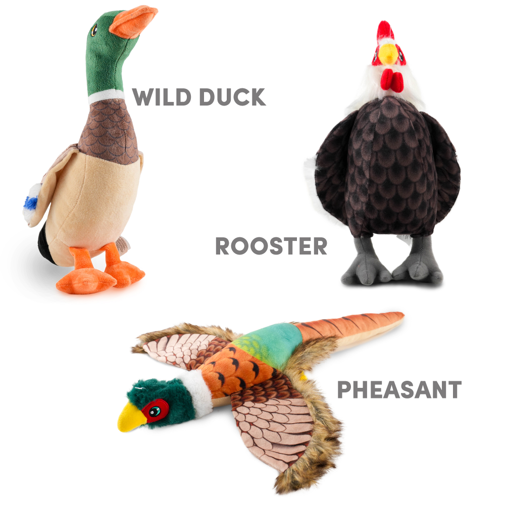 Barkbutler x Fofos Plush Rooster Toys for Dogs image 7