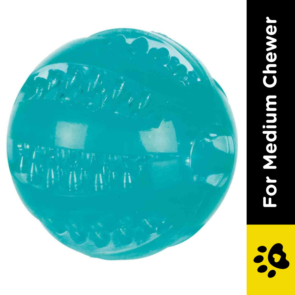 Trixie Denta Fun Ball Mint Flavour TPR Rubber Toy for Dogs image 2