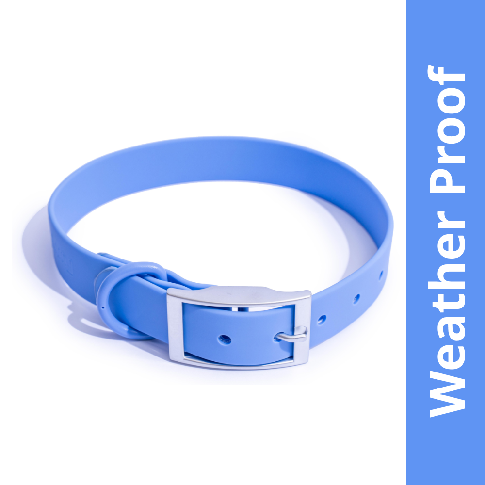Furry & Co Weatherproof Collar for Dogs (Everest Blue)
