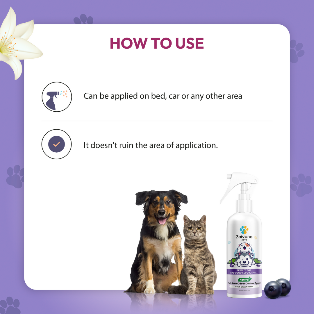 Zoivane Pets Black Currant Odour Remover Spray for Dogs and Cats image 6