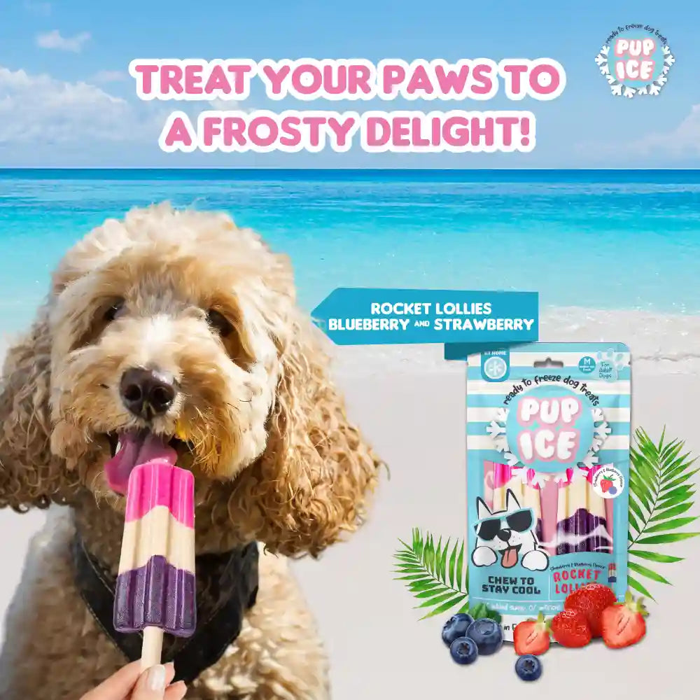 Pup Ice Strawberry and Blueberry Flavoured Rocket Lollies Dog Treat image 4