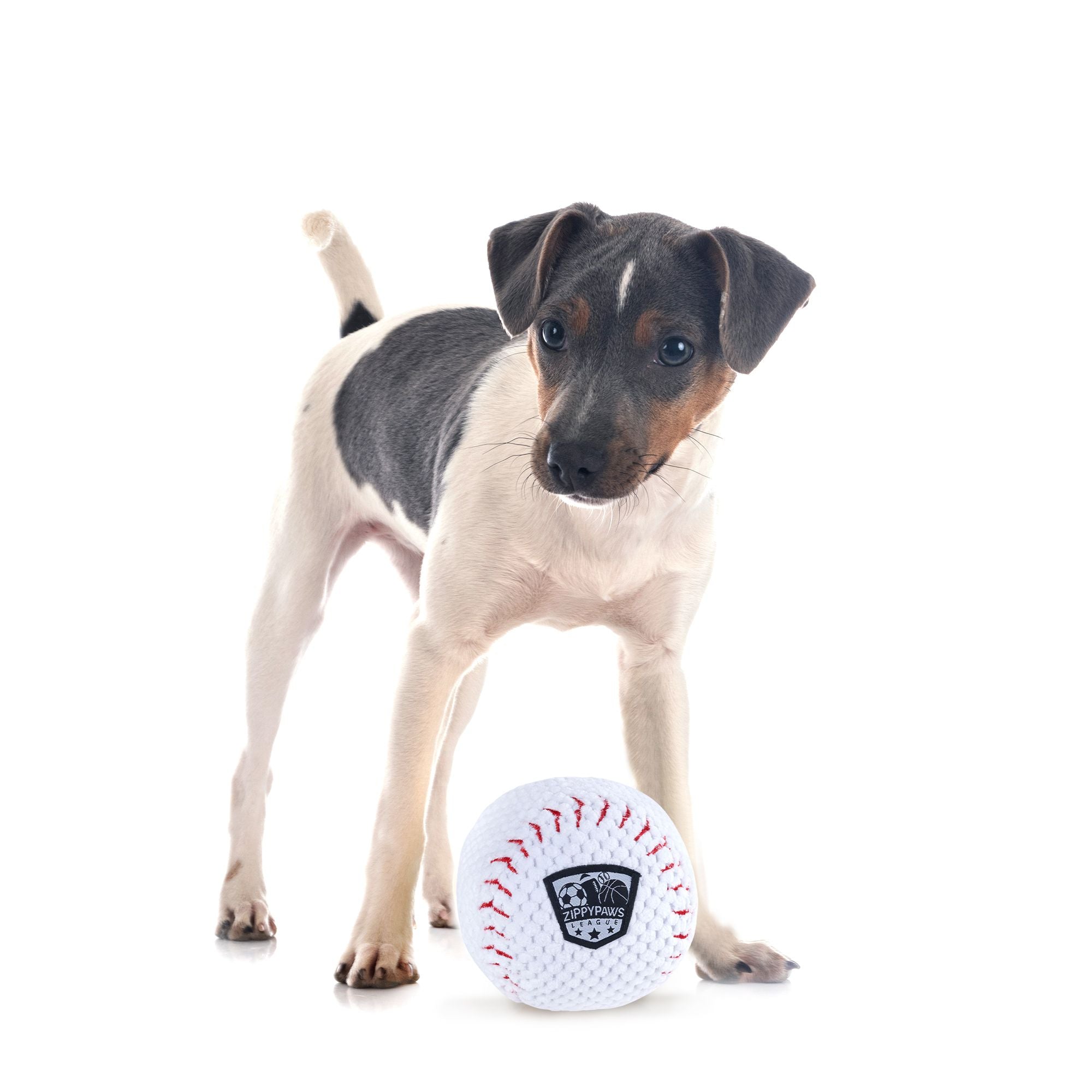 Zippy Paws SportsBallz Baseball Plush Toy for Dogs image 6