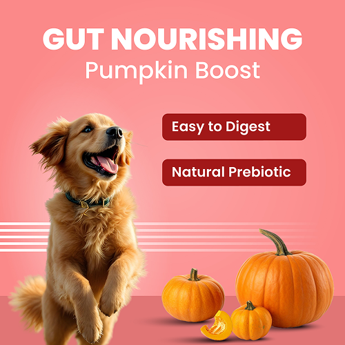Bark Out Loud Collagen Protein Bar Chicken & Fish Treat for Dogs image 4