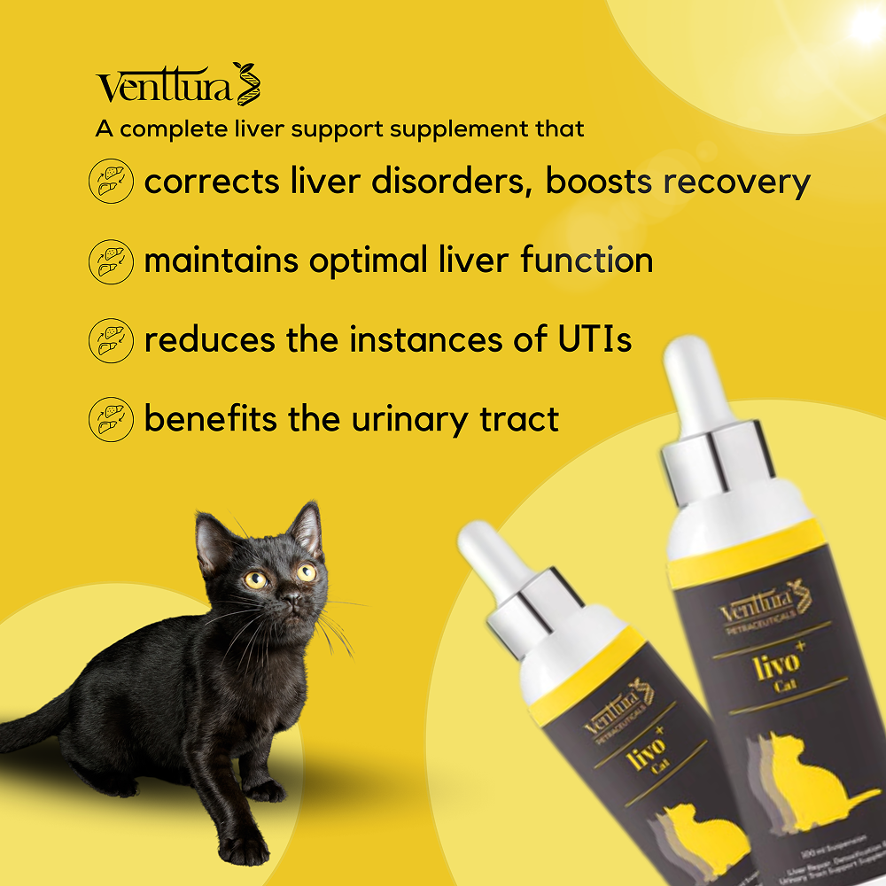 Venttura Liver Repair, Support Recovery & Recuperation Supplement for Cats image 3