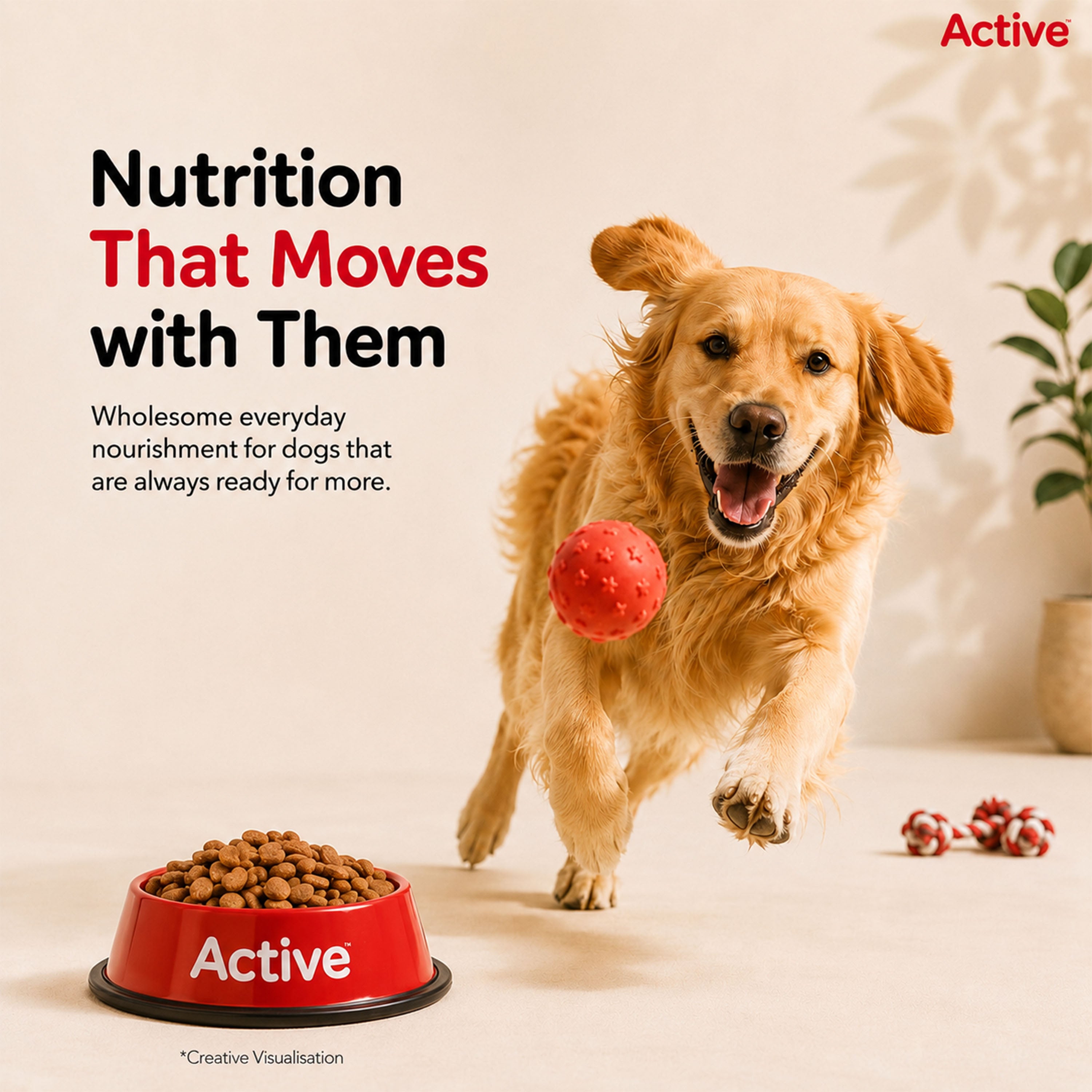 Active Chicken and Vegetables Adult Dog Dry Food (Buy 1 Get 1) image 5