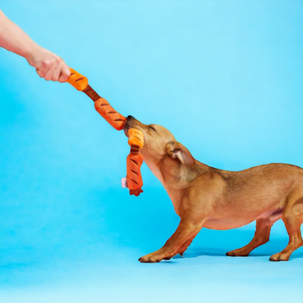 Talking Dog Club Sausage Rope Plush Toy for Dogs (Red) image 4