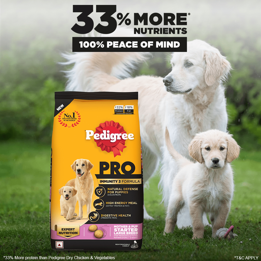 Pedigree PRO Expert Nutrition Lactating/Pregnant Mother & Puppy Starter Large Breed Dog Dry and Chicken Chunks in Gravy Puppy Wet Food Combo image 4