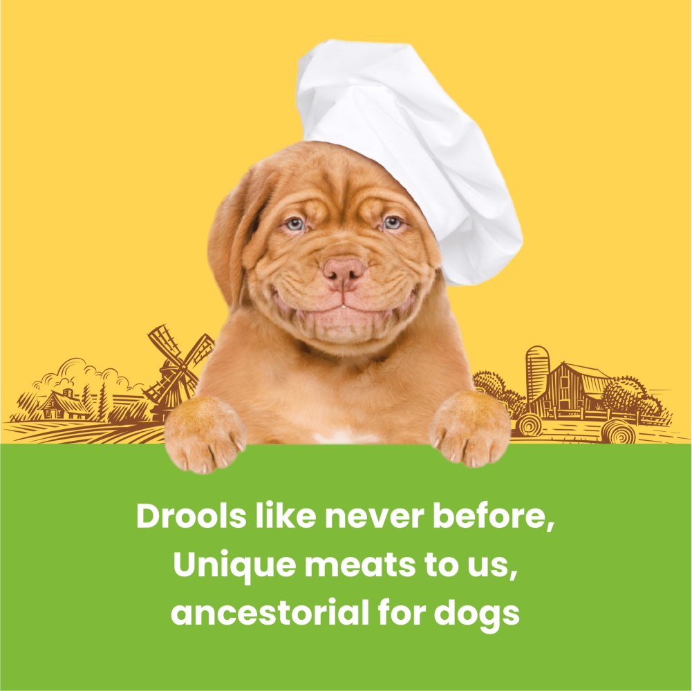 Dogfest Turkey & Flax Seeds Training Dog Treats image 6
