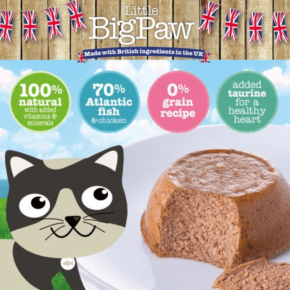 Little Big Paw Atlantic Salmon Mousse Cat Wet Food image 3