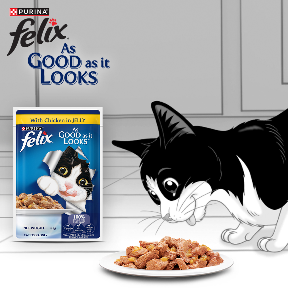 Purina Felix with Chicken in Jelly Complete and Balanced Adult Cat Wet Food image 3