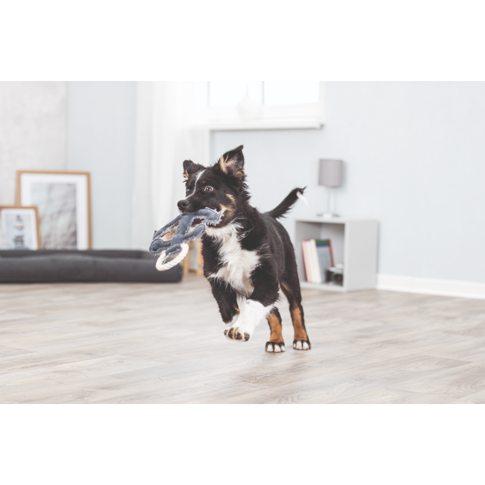 Trixie Be Nordic Anchor Toy for Dogs image 6