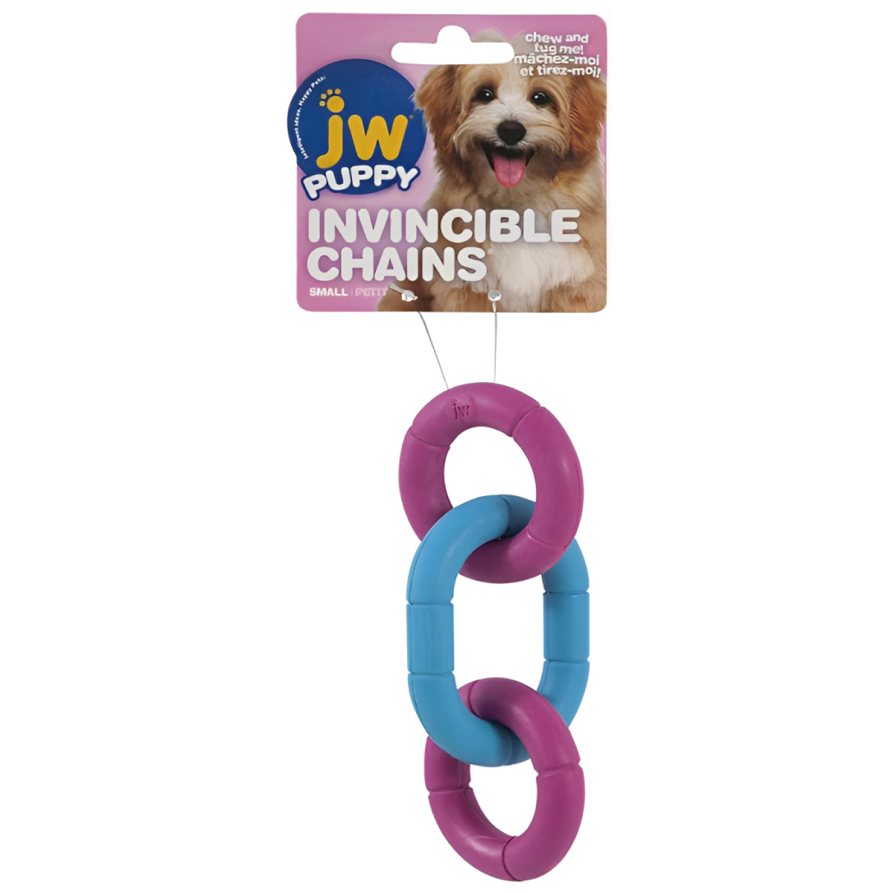 JW Invincible Chains Toy for Dogs (Blue/Pink) image 2