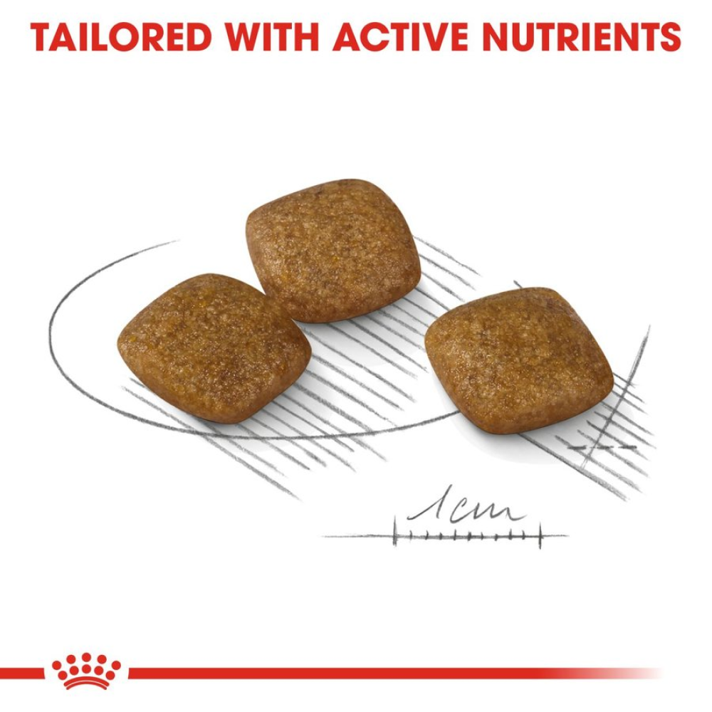 Royal Canin Relax Care Mini Dry Dog Food image 3