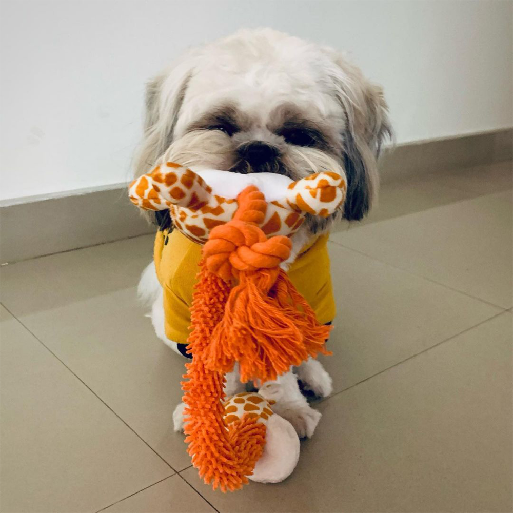 Barkbutler Garry The Giraffe Plush Toy for Dogs | For Soft Chewers image 7