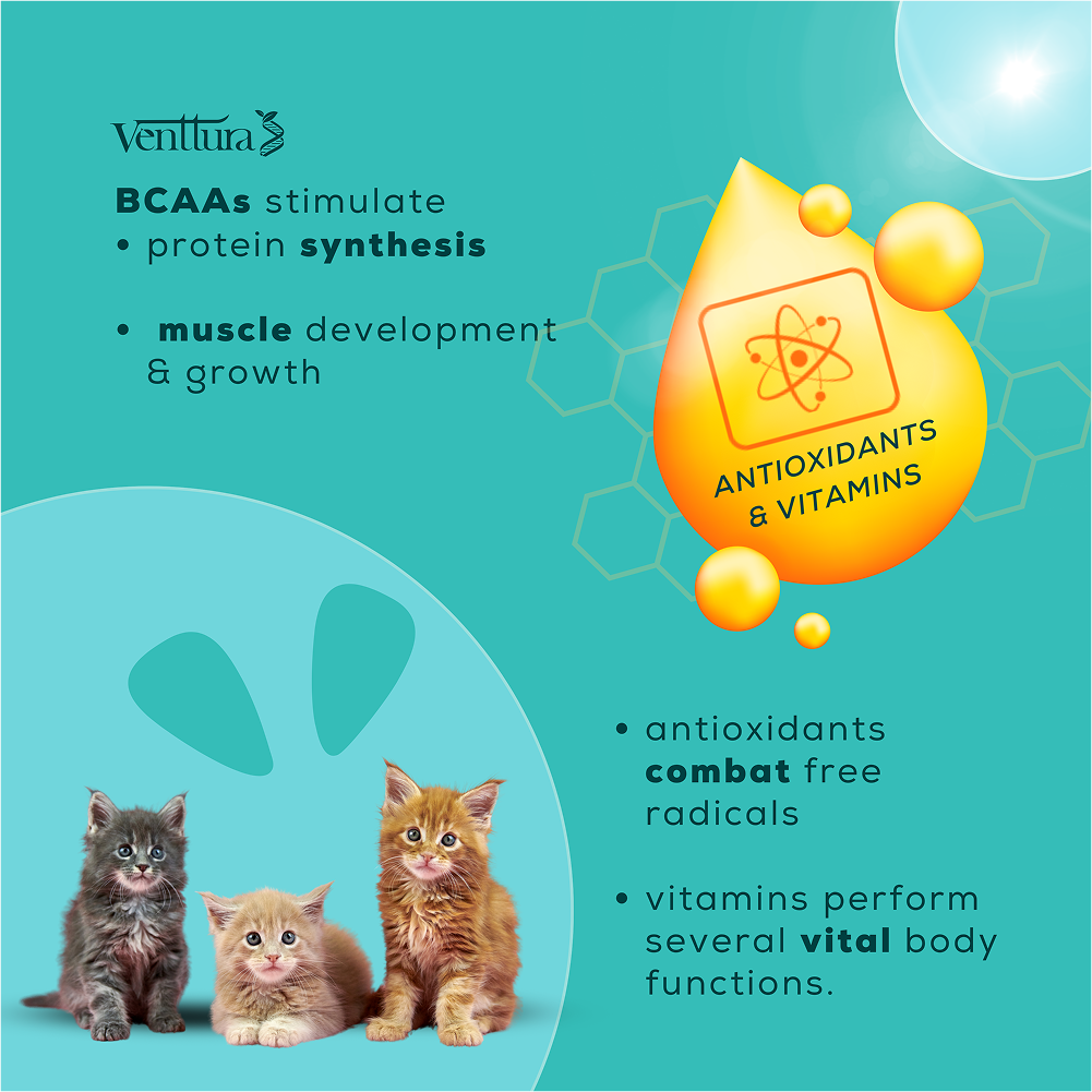 Venttura Amino Acids & Vitamin Supplement for Cats image 8