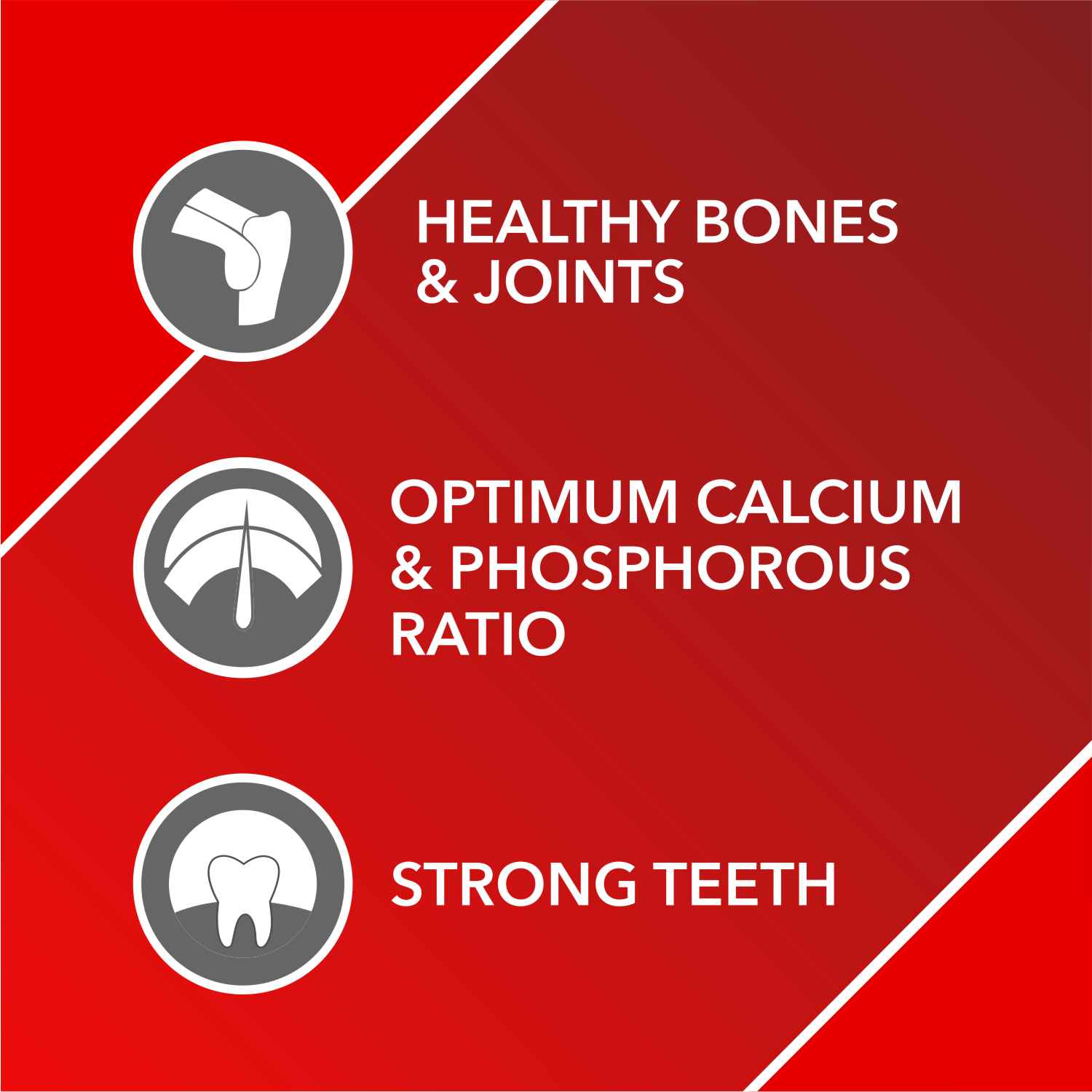 Drools Absolute Calcium, Vitamin and Skin & Coat Dog Supplement Tablets Combo image 4